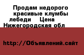 Продам недорого красивые клумбы,лебеди. › Цена ­ 250 - Нижегородская обл.  »    